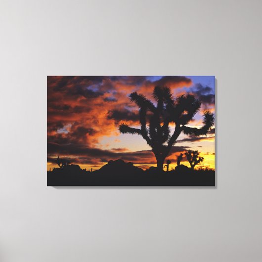 Spectaculaire zonsopgang bij Joshua Tree National Canvas Afdruk (Voorkant)