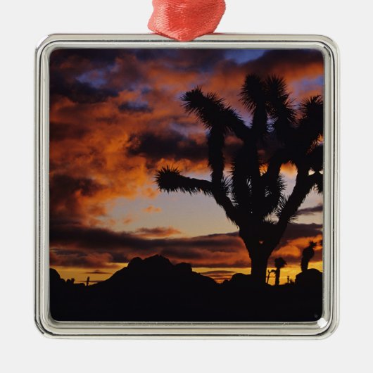 Spectaculaire zonsopgang bij Joshua Tree National Metalen Ornament (Voorkant)