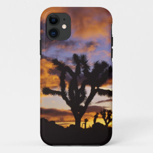 Spectaculaire zonsopgang in Joshua Tree National P Case-Mate iPhone Case