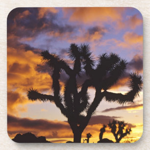 Spectaculaire zonsopgang in Joshua Tree National P Onderzetter