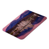 Spectacular Mono Lake In The Shadow Magneet (Linkerzijde)