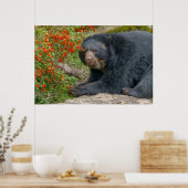 Spectaculated Beer Loungen door Red Berries Poster (Keuken)