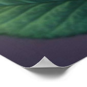 Spectrum Bloom - Levendig Rainbow Roos Poster (Hoek)