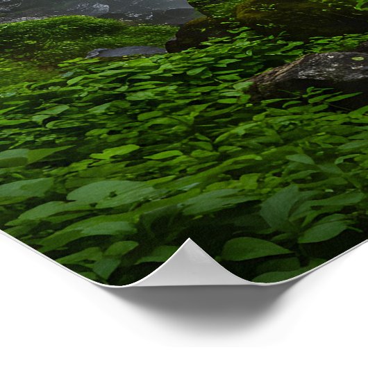 Spectrum van de Herfsten Poster (Hoek)