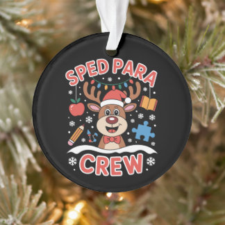 SPED Para-team Kerst Rendier Leraar School Ornament