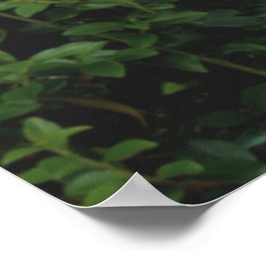 Speech Therapist (SLP) Kantoor Poster (Hoek)