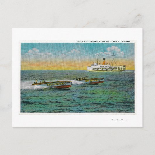 Speed Boating in Catalina Island, Californië Briefkaart (Voorkant)