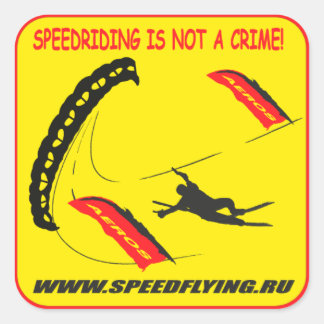 speedvliegen vierkante sticker