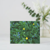Speedwell en Buttercups Briefkaart (Staand voorkant)
