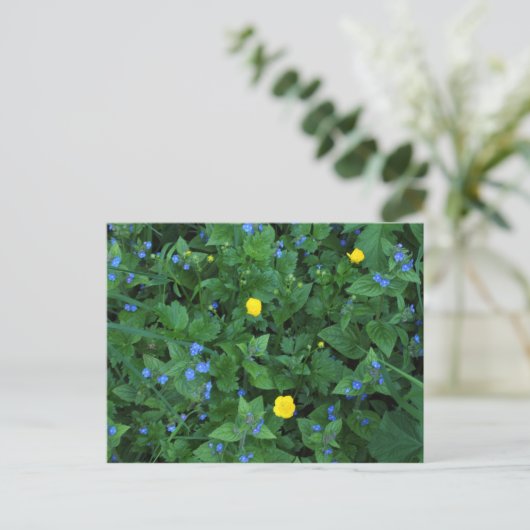 Speedwell en Buttercups Briefkaart (Staand voorkant)
