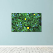 Speedwell en Buttercups Canvas Afdruk (Insitu (Houten vloer))