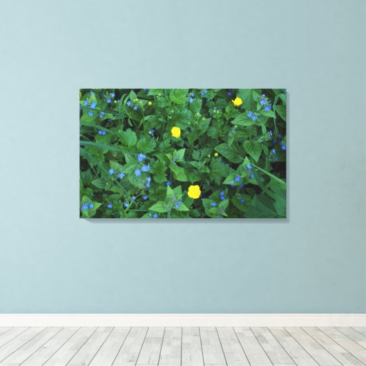 Speedwell en Buttercups Canvas Afdruk (Insitu (Houten vloer))
