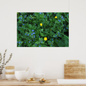 Speedwell en Buttercups Poster (Keuken)