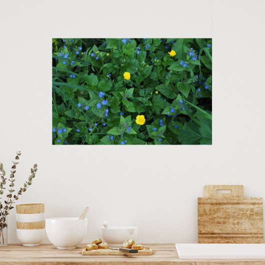 Speedwell en Buttercups Poster (Keuken)