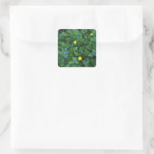 Speedwell en Buttercups Vierkante Sticker (Tas)