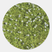 Speedwell Sticker (Voorkant)