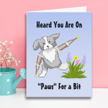 Speedy Recovery Collie op krukken