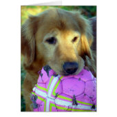 Speel alsjeblieft met mij (Voorkant)