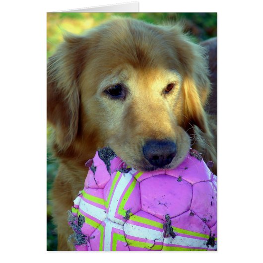 Speel alsjeblieft met mij (Voorkant)