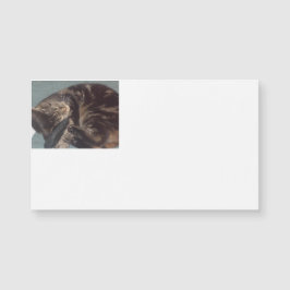 Speel Dave Magnetic Visitekaartjes (25-pack)