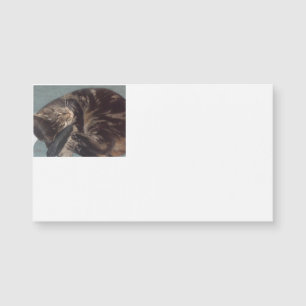 Speel Dave Magnetic Visitekaartjes (25-pack)