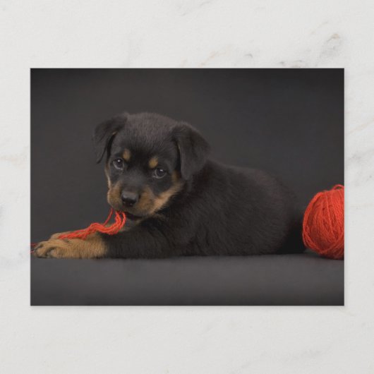 Speel deel 5 briefkaart (Voorkant)