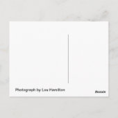 Speel elke dag briefkaart (Achterkant)