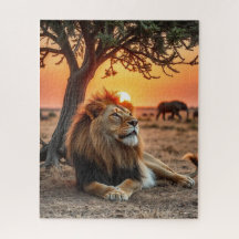 Speel en leer puzzelavonturen