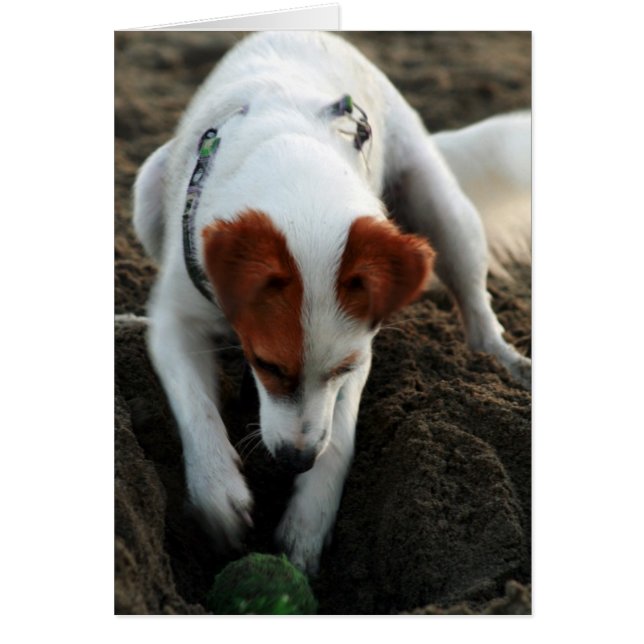 "Speel hard!" (Voorkant)