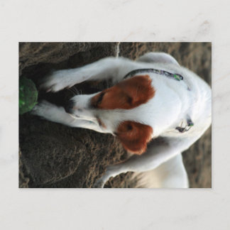 "Speel hard" Briefkaart