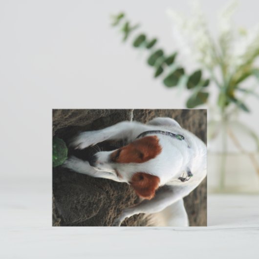 "Speel hard" Briefkaart (Staand voorkant)