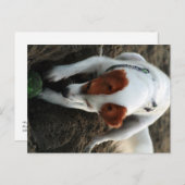 "Speel hard" Briefkaart (Voorkant / Achterkant)