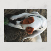 "Speel hard" Briefkaart (Voorkant)