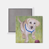 Speel met mij. Gele Labrador Retriever Magnent Magneet (Voorkant / Achterkant)