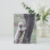 Speel niet stom met me... ik ben beter... briefkaart (Staand voorkant)