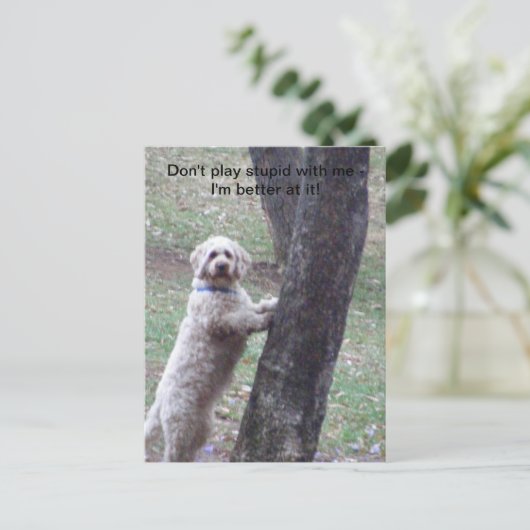 Speel niet stom met me... ik ben beter... briefkaart (Staand voorkant)