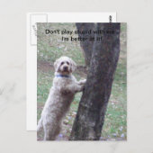 Speel niet stom met me... ik ben beter... briefkaart (Voorkant / Achterkant)