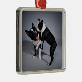 Speelbare Boston Terriers Metalen Ornament (Rechts)