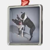 Speelbare Boston Terriers Metalen Ornament (Links)