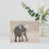 Speelbare jonge olifant briefkaart (Staand voorkant)