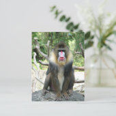 Speelbare, schattige, slimme en vriendelijke bavia briefkaart (Staand voorkant)