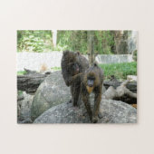 Speelbare, schattige, slimme en vriendelijke bavia legpuzzel (Horizontaal)