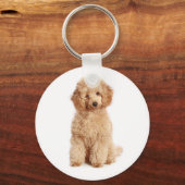 Speelgoed Abriot Poodle Puppy Love Dog Sleutelhang Sleutelhanger (Voorkant)
