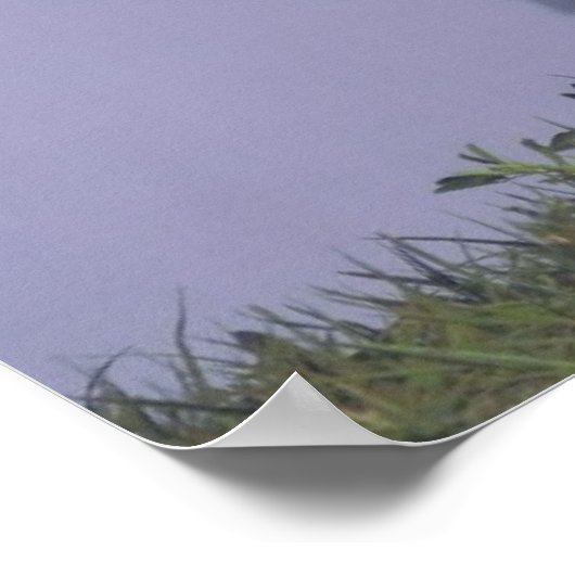 Speelgoed American Eskimo Dog Print (Hoek)