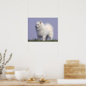 Speelgoed American Eskimo Dog Print (Keuken)