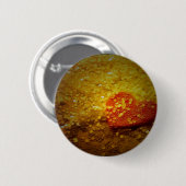 Speelgoed camerakop ronde button 5,7 cm (Voorkant /achterkant)