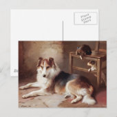 Speelgoed - Dog Kitten - Puppy Briefkaart (Voorkant / Achterkant)