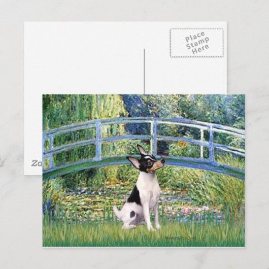 Speelgoed Fox Terrier - Bridge Briefkaart (Voorkant / Achterkant)