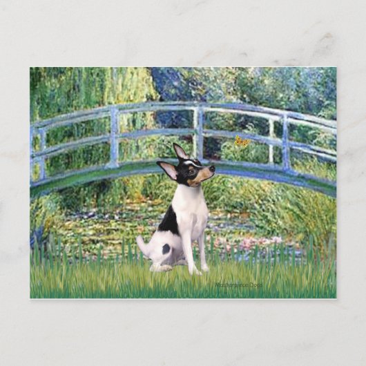 Speelgoed Fox Terrier - Bridge Briefkaart (Voorkant)