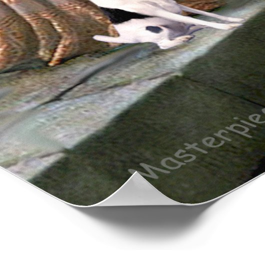 Speelgoed Fox Terrier - De colade Poster (Hoek)